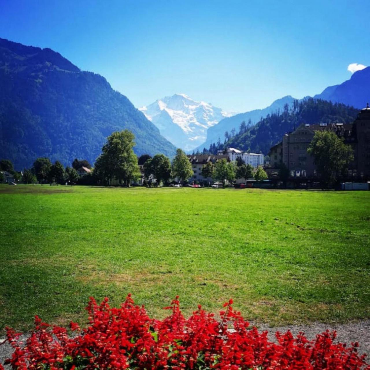 Appartement Swisshut Stunning Views Alps - Apart. Ringold Down