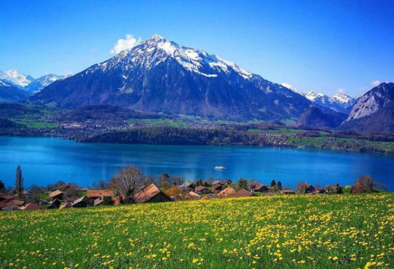 Swisshut Stunning Views Alps - Apart. Ringold Down Sigriswil